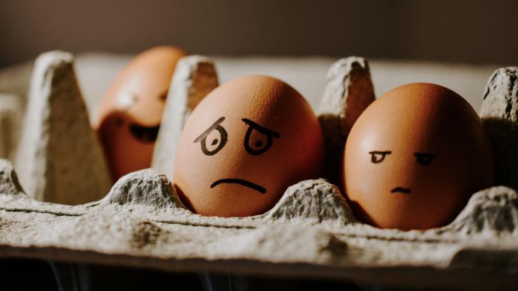 弱い自分を、安心してさらけ出せる場所